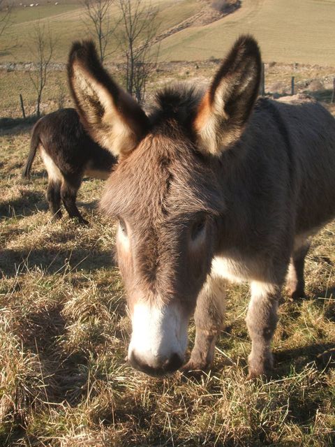 image011.jpg